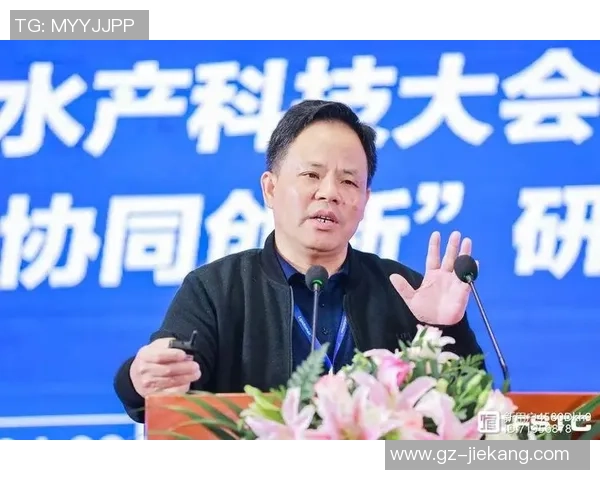 武汉排球队转型之路：从传统强队到新兴力量的全面解读